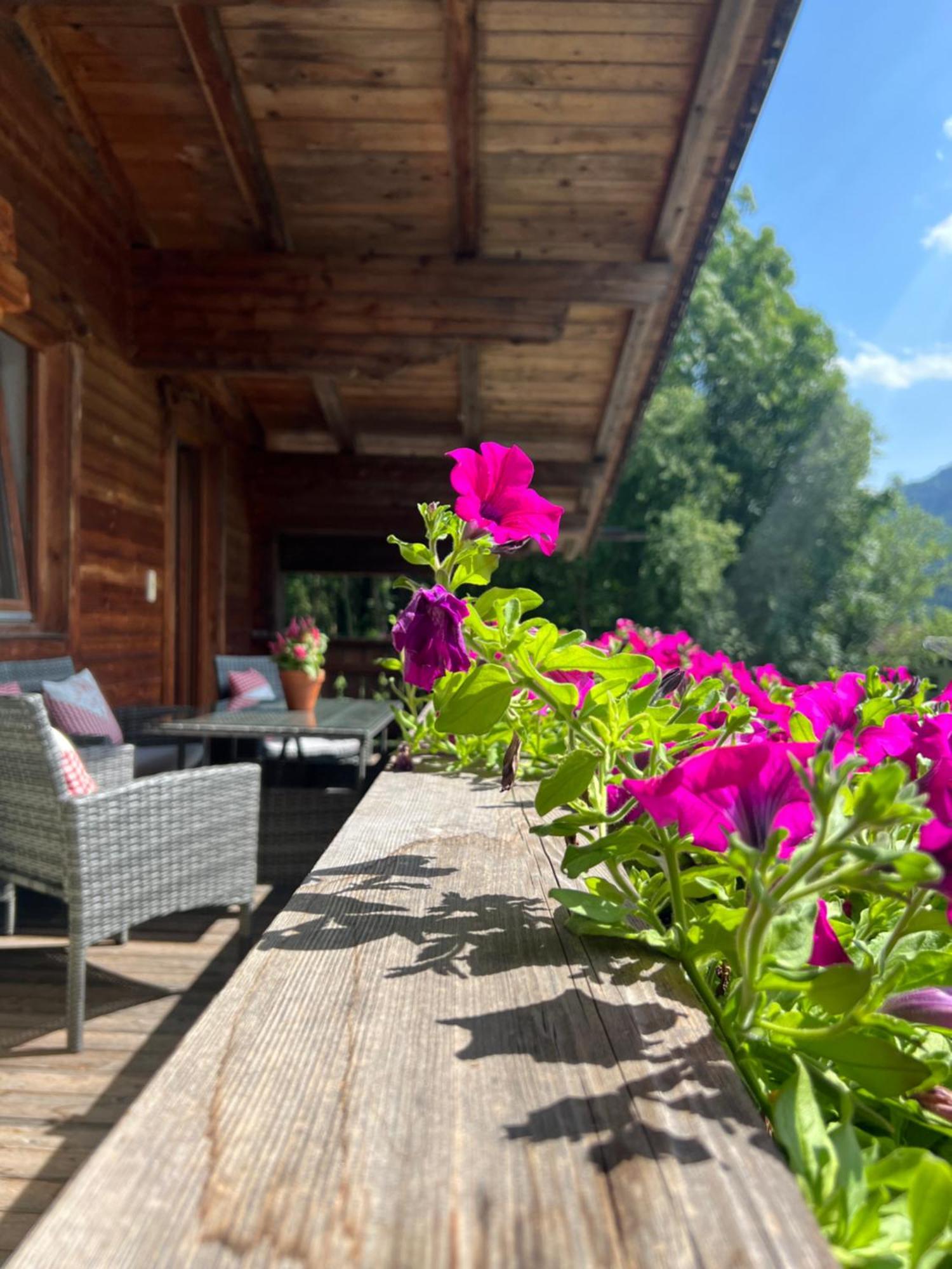 Ferienwohnung Gamsbock Panorama View Balkon, Gartensauna, Garten, Grillplatz Stumm Esterno foto